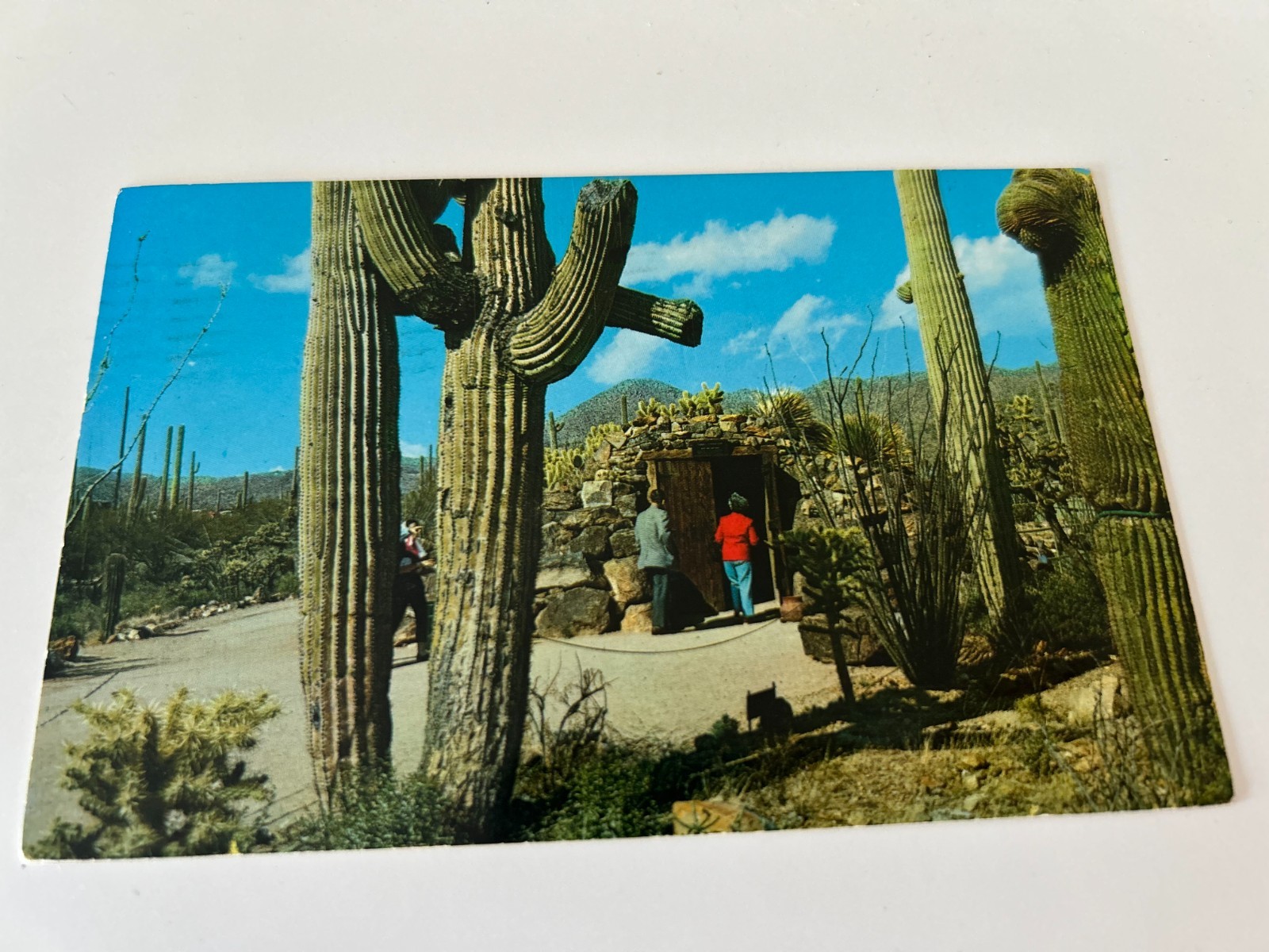 Tunnel Entrance Arizona Sonora Desert Museum Tucson Arizona Postcard