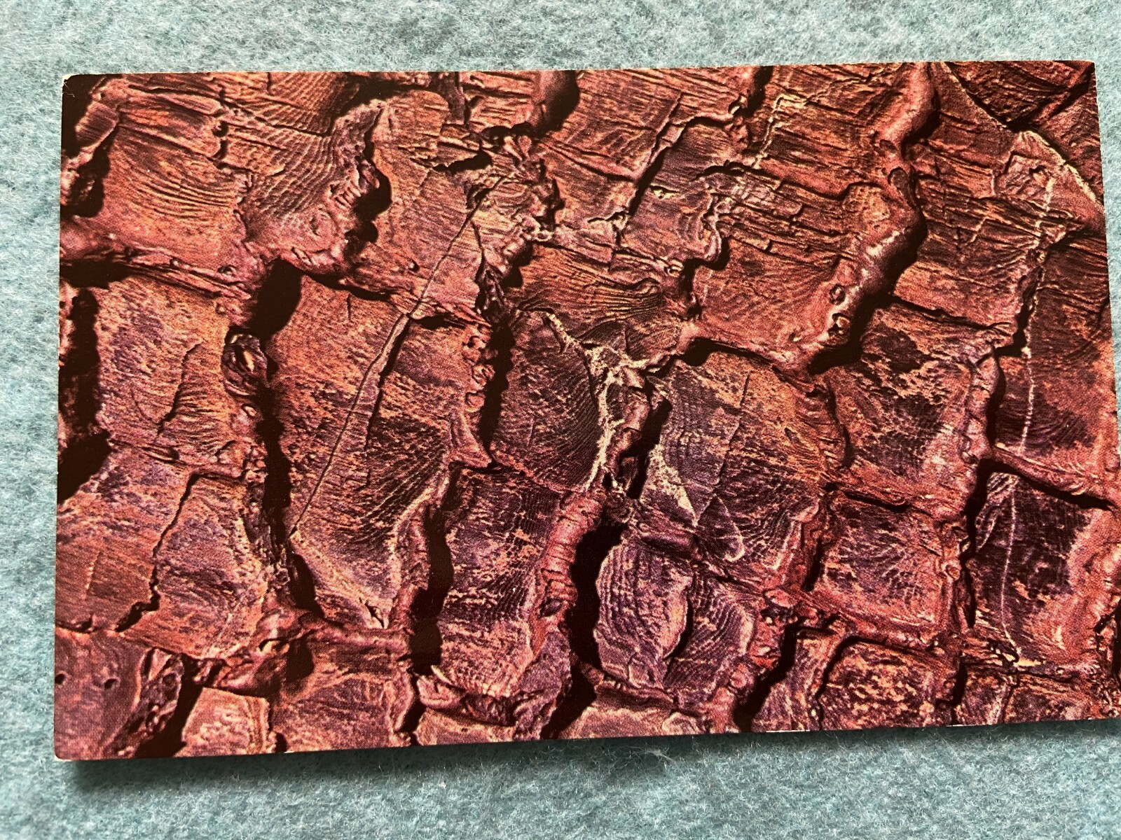 Horizontal Tree Mold, Craters of the Moon National Monument, Idaho Postcard