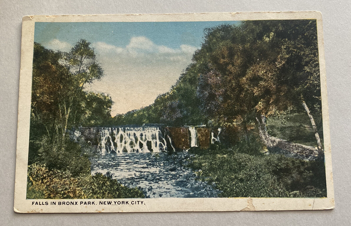 Vintage Postcard ~ Falls in Bronx Park ~ New York City NYC NY