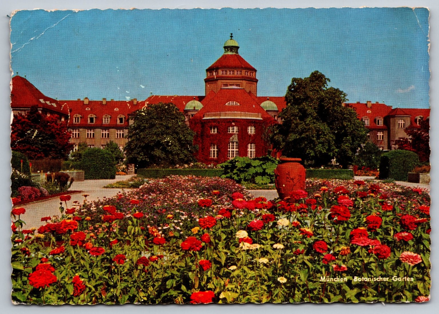 Munich Botanical Garden Postcard Germany 1960s US Eisenhower Stamp Posted