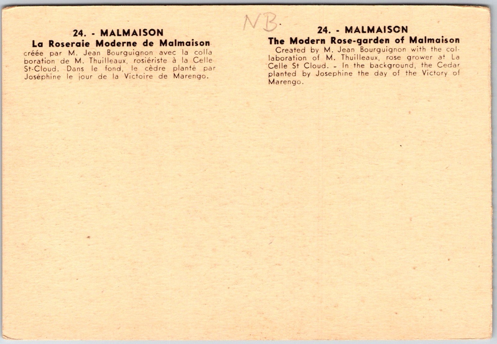 The Modern Rose Garden of Malmaison France Vintage Sepia Unposted Postcard