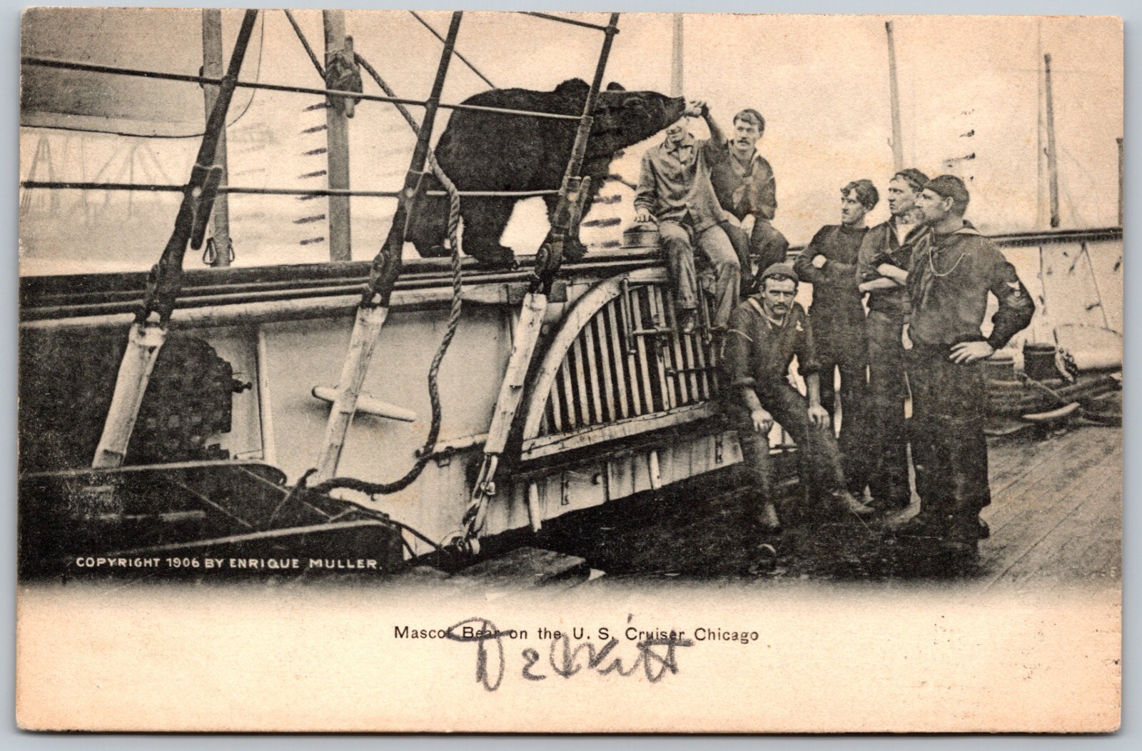 c1906 Mascot Bear On U.S. Cruiser Chicago Navy Ship w/ Sailors ANTIQUE Postcard
