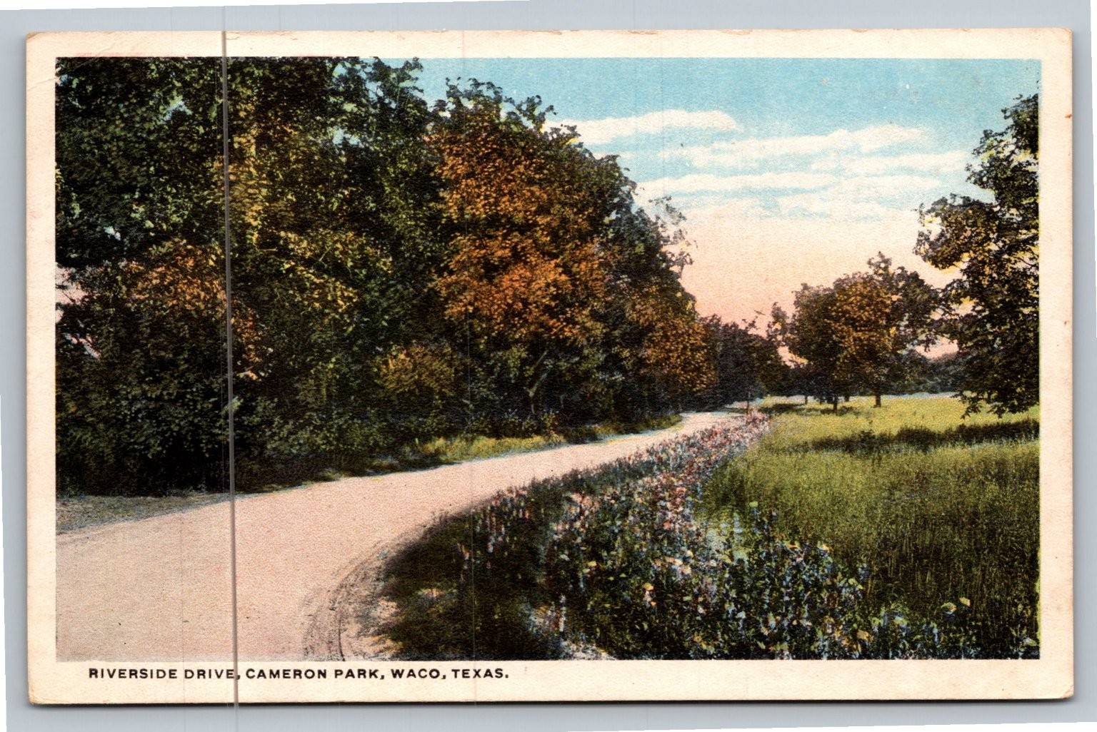 Waco Texas Riverside Drive Cameron Park Vintage Postcard C.T. American Art