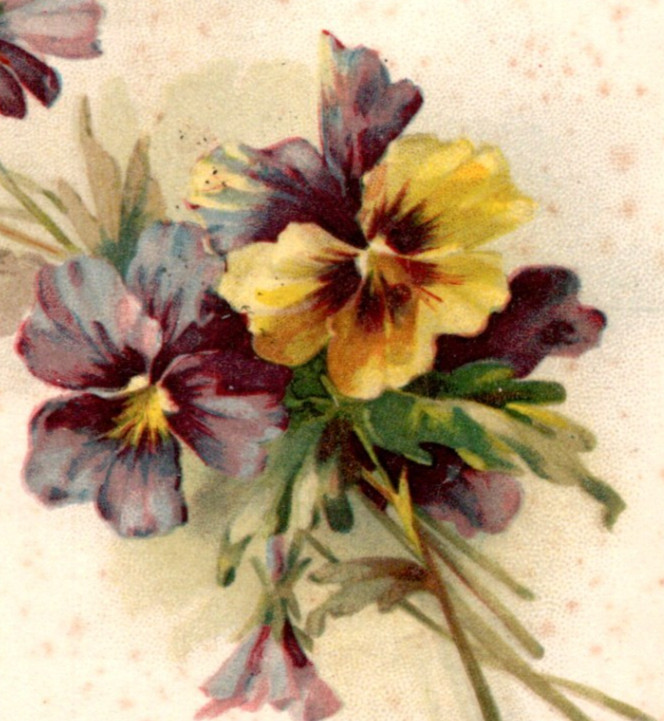 Antique UDB Postcard Flower Bouquet Greetings c1901