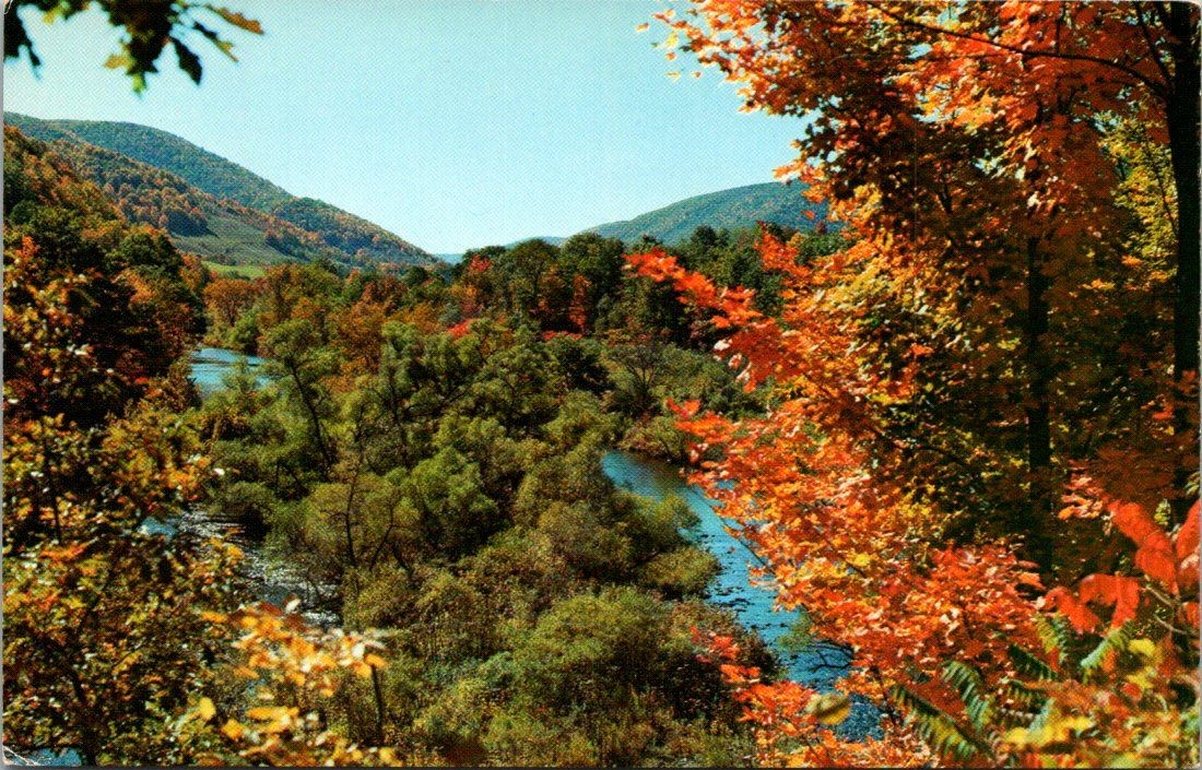 Gorgeous Fall Color Trout Stream Postcard Richard C Miller Ektachrome Modern-Ad