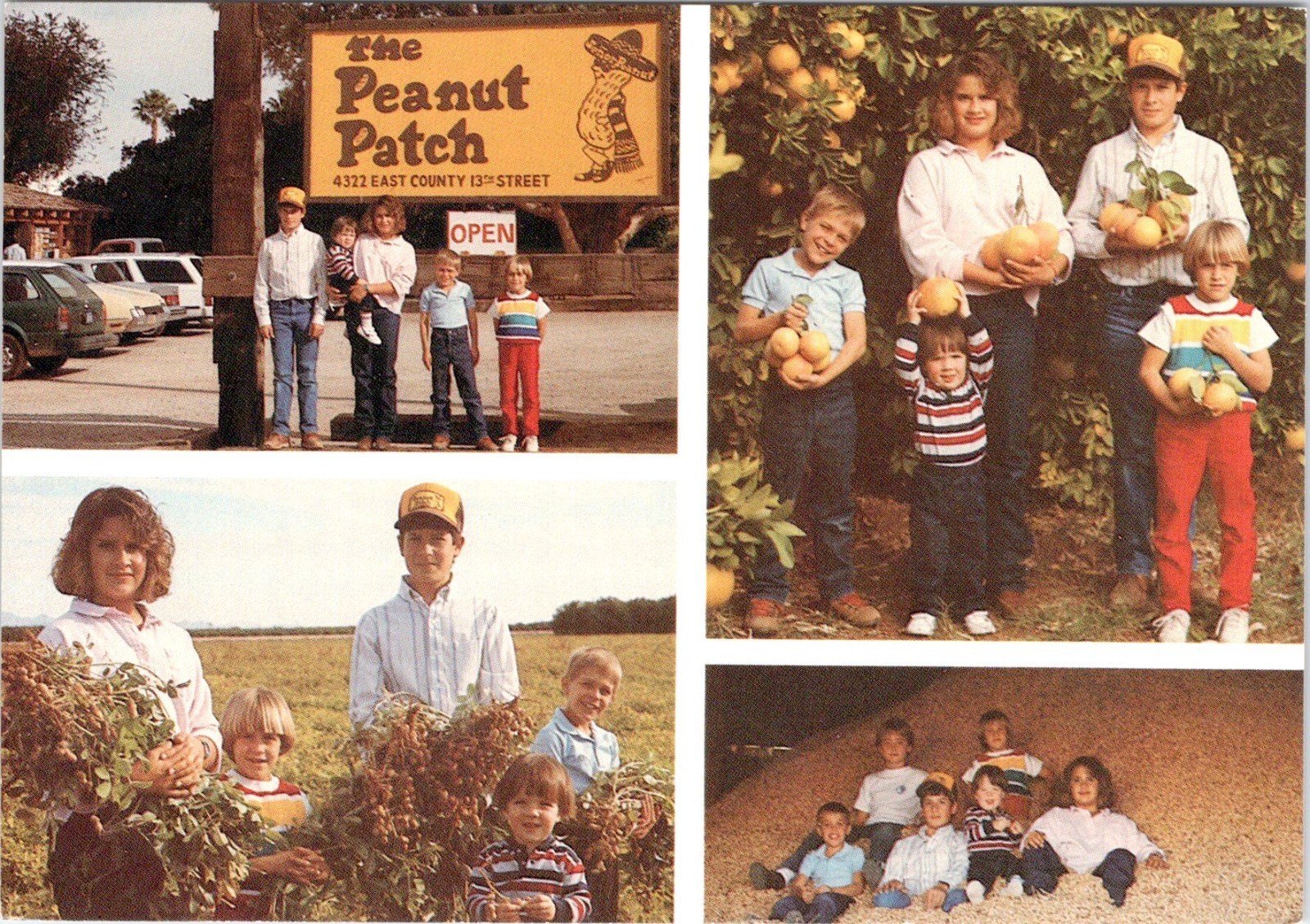 Yuma, AZ Arizona PEANUT PATCH Didier Family Farm & Roadside Store 4X6 Postcard