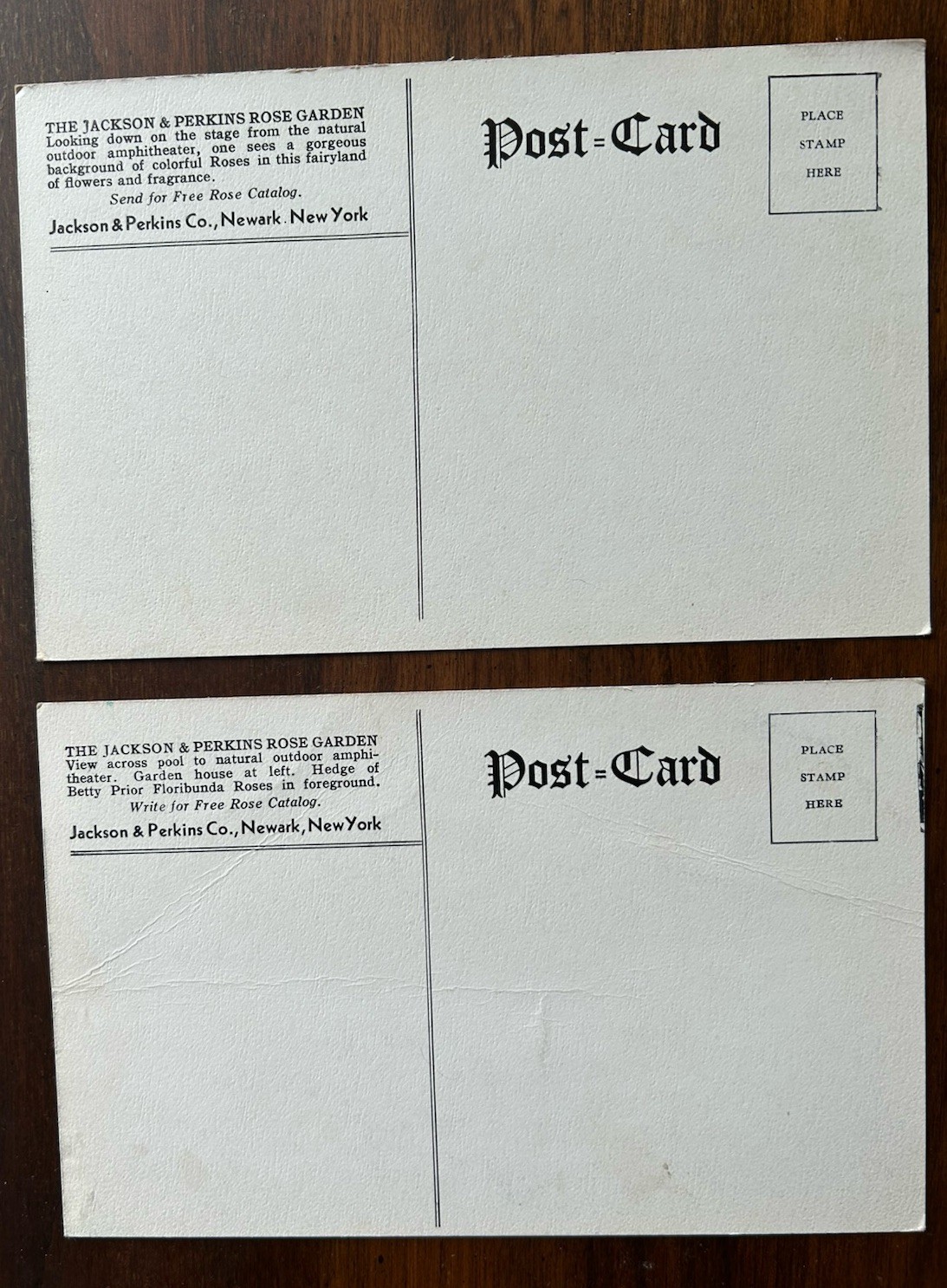 NEWARK, NEW YORK NY~Jackson & Perkins Co Rose Garden~2 Black & White Older Cards