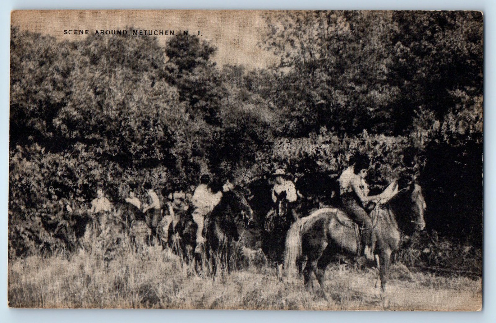 1940 Metuchen New Jersey NJ Vintage Postcard Scene Around Trees Horseback Riding