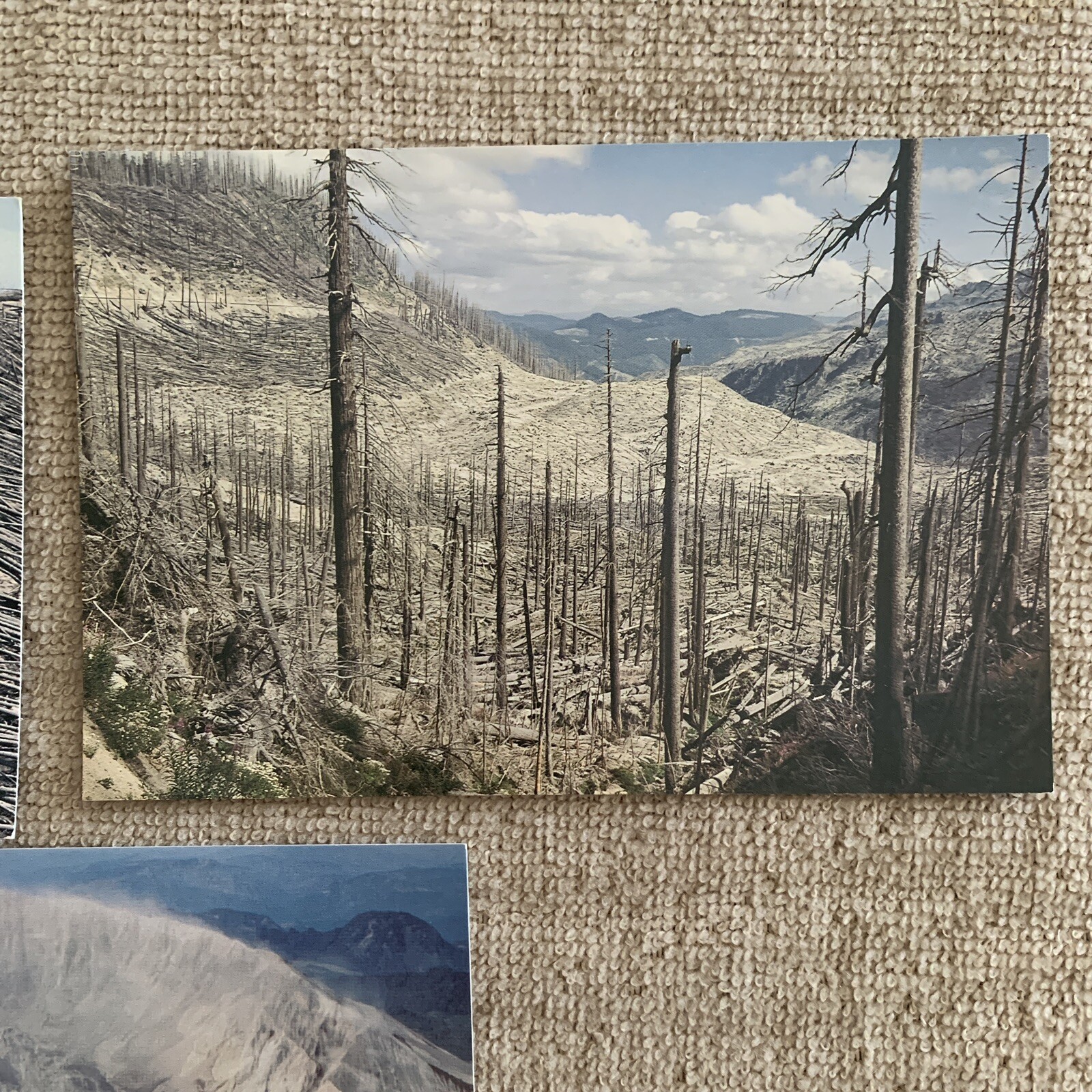 Mt St Helen WA VTG Postcards Lot of 5 Cards aftermath of eruption Pre own Photo