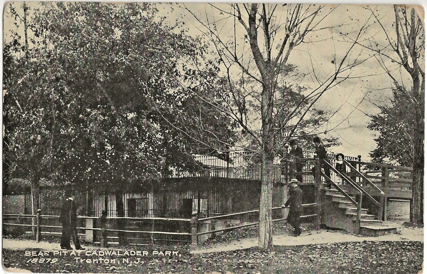 Bear Pit at Cadwalader Park Trenton NJ Postcard Div Back UNJ