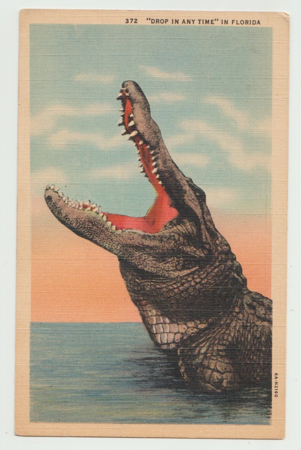 Florida, “Drop in any time”