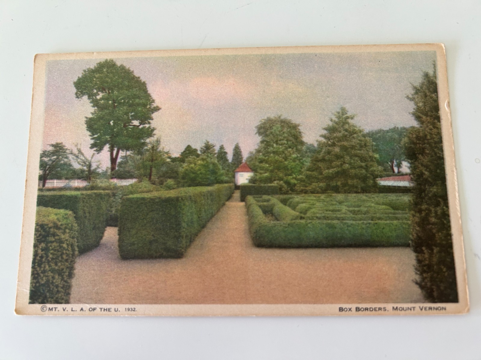Box Borders Mount Vernon Virginia VA Postcard