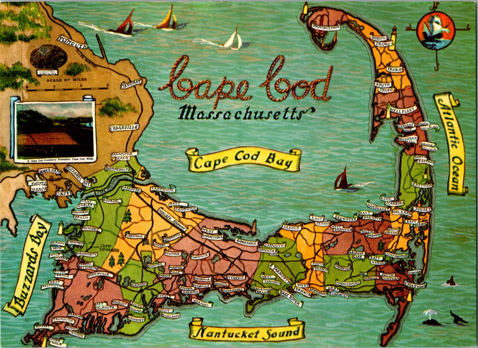 VINTAGE JUMBO POSTCARD 9X6 CHROME COLORFUL CAPE COD MAP E D WEST