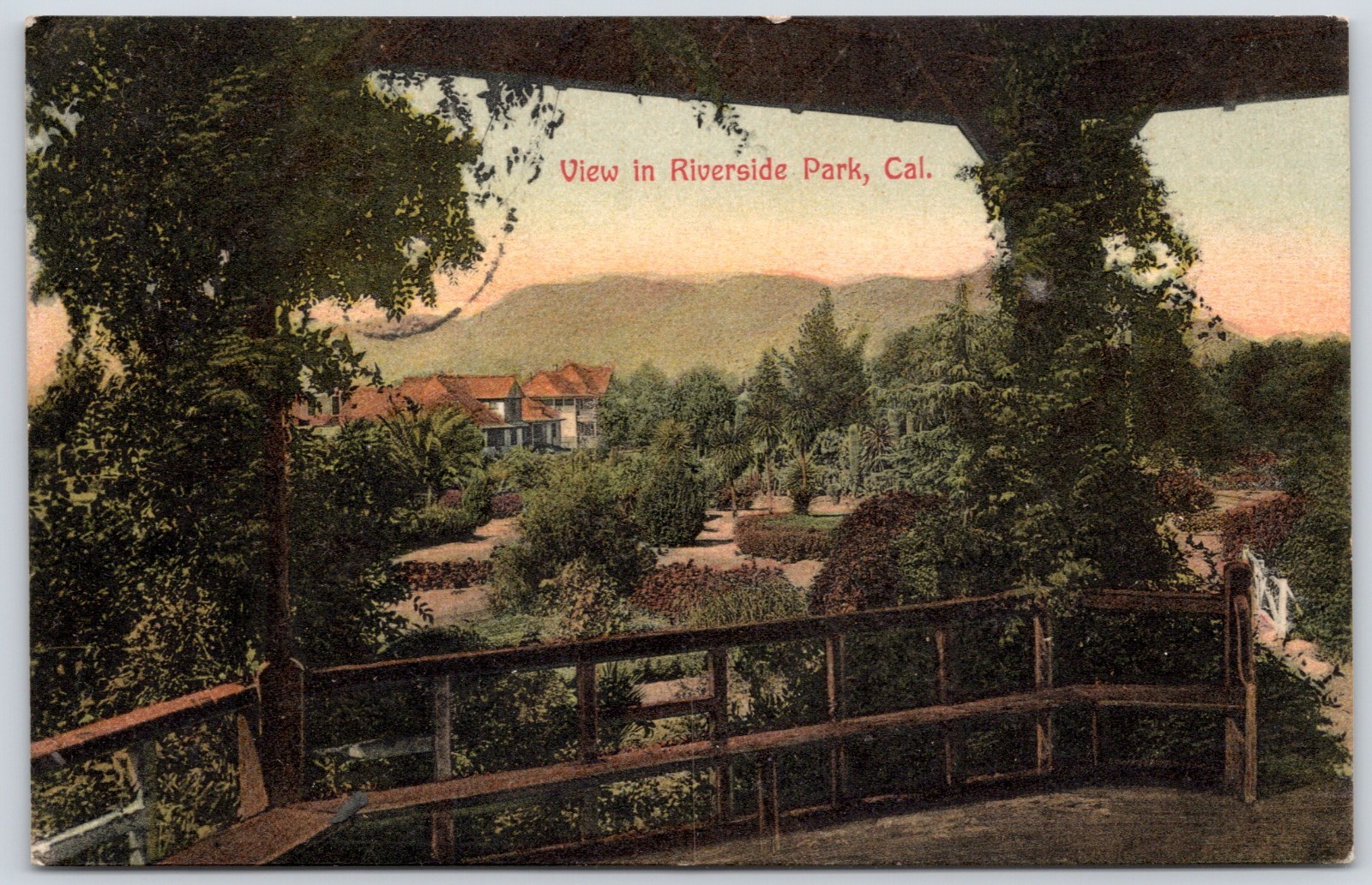 Postcard CA Riverside California View In Riverside Park D78
