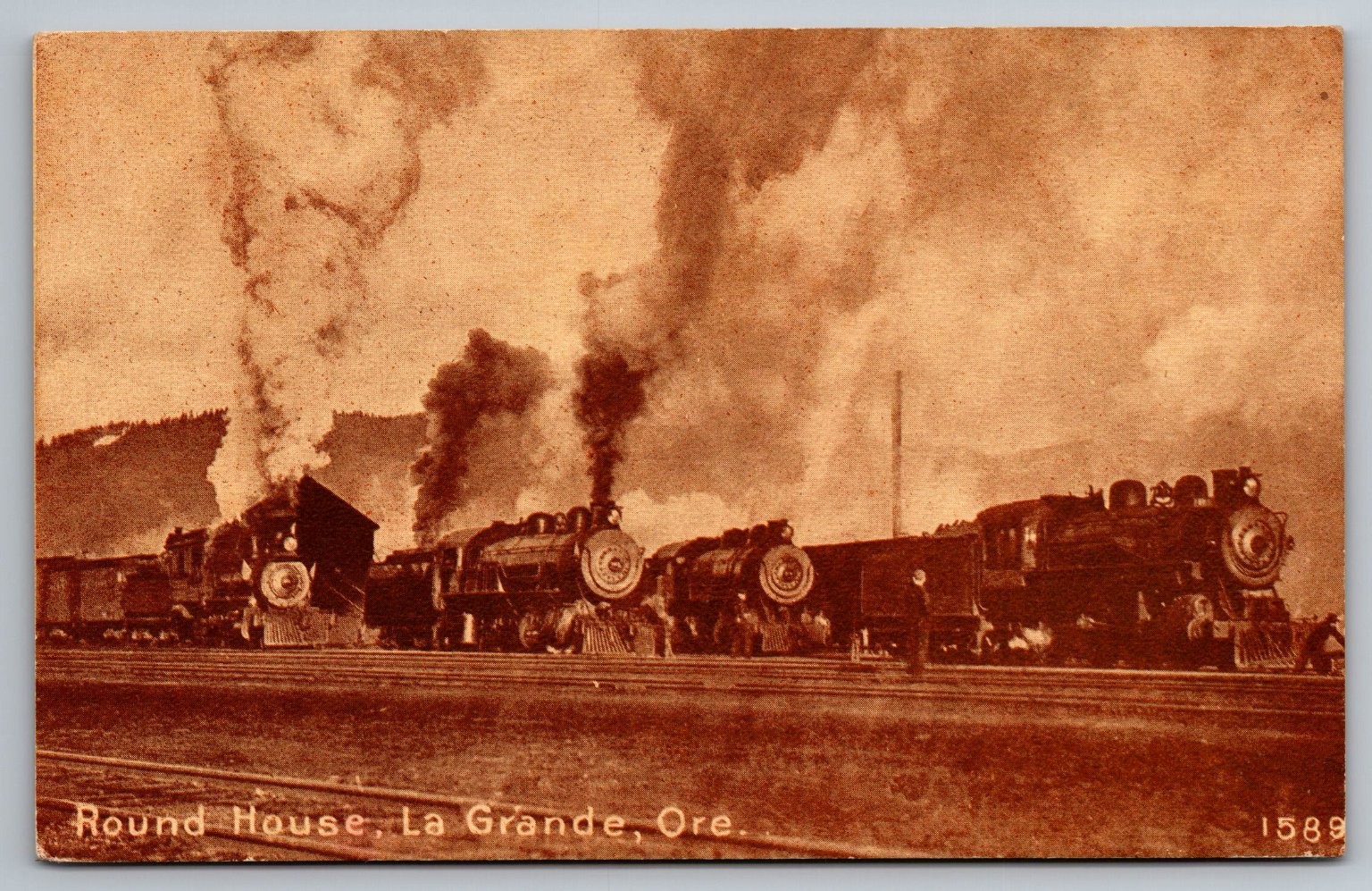 1911 La Grande Oregon Round House Steam Locomotives Postcard PNC