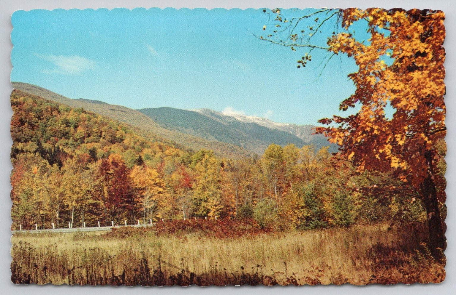 Mount Washington Pinkham Notch NH New Hampshire 1971 Autumn Foliage Postcard