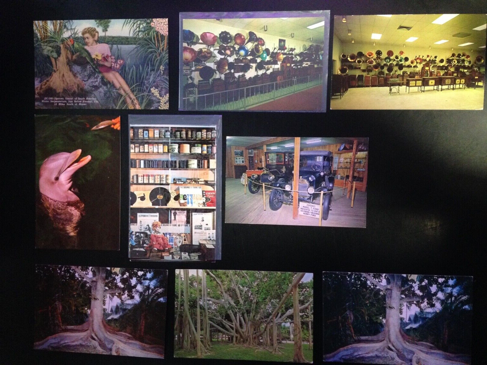 30+ Postcard lot, Florida, Amusement Parks and Roadside Attractions. Set 2.