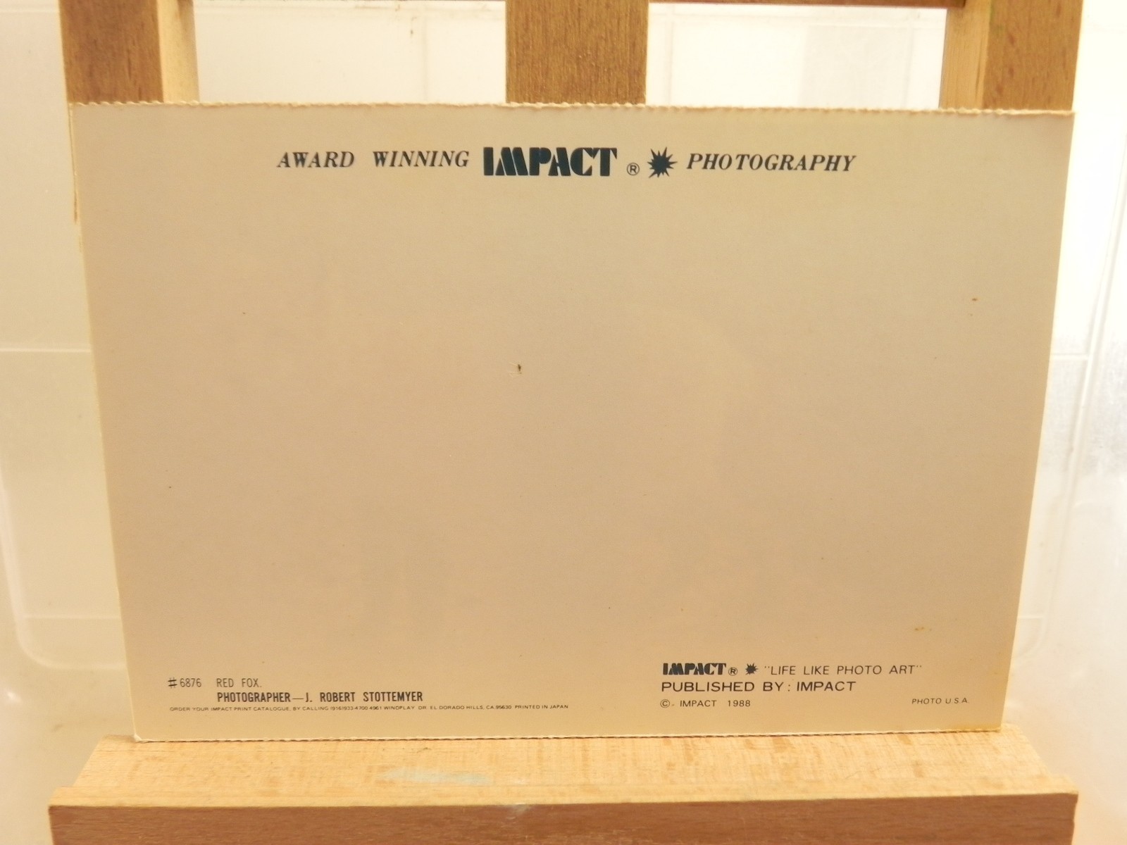 Red Fox Postcard – 1988 Impact Life-Like Photography 5.75″ x 4″