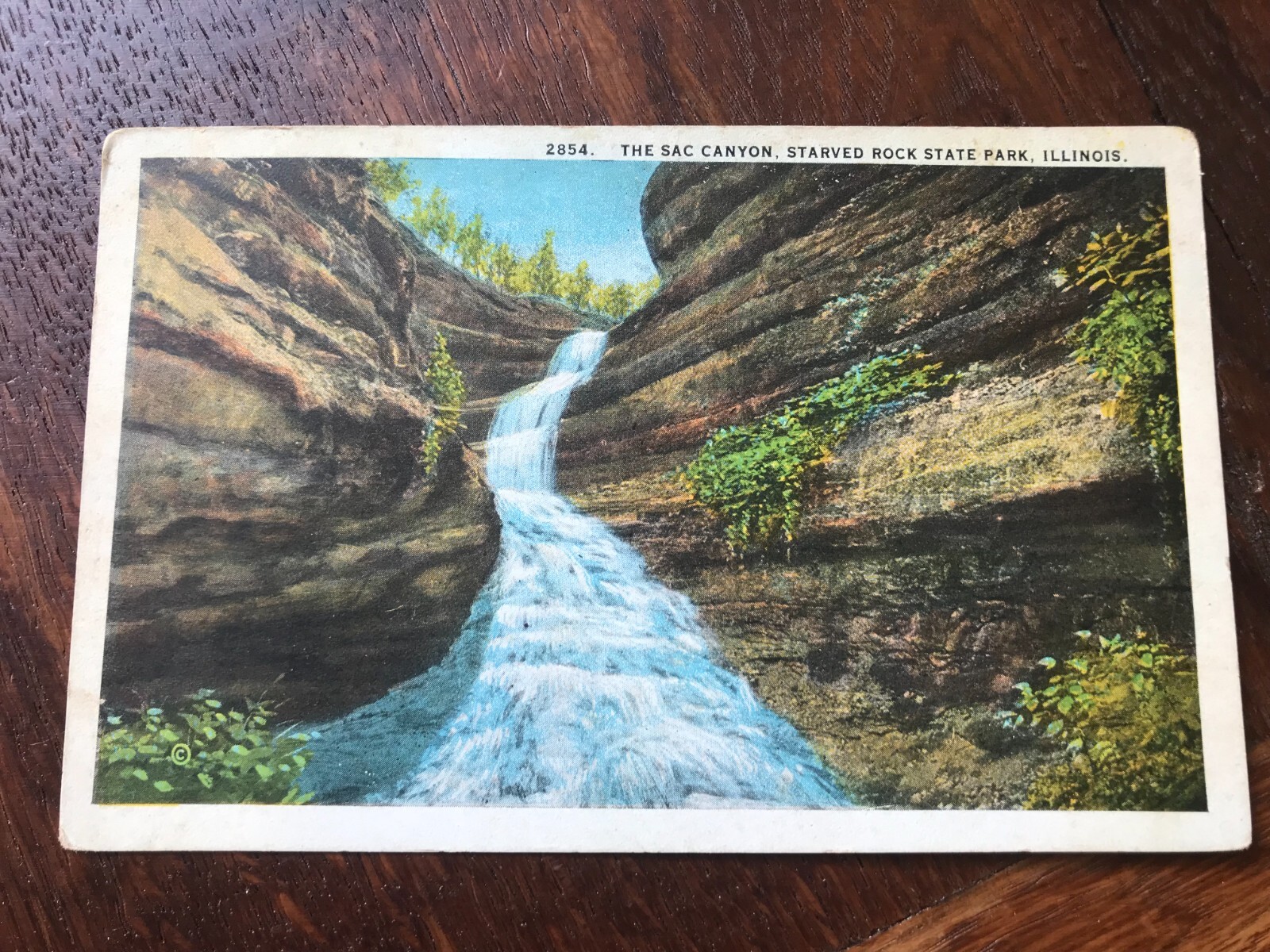 The Sac Canyon Starved Rock State Park Illinois Postcard