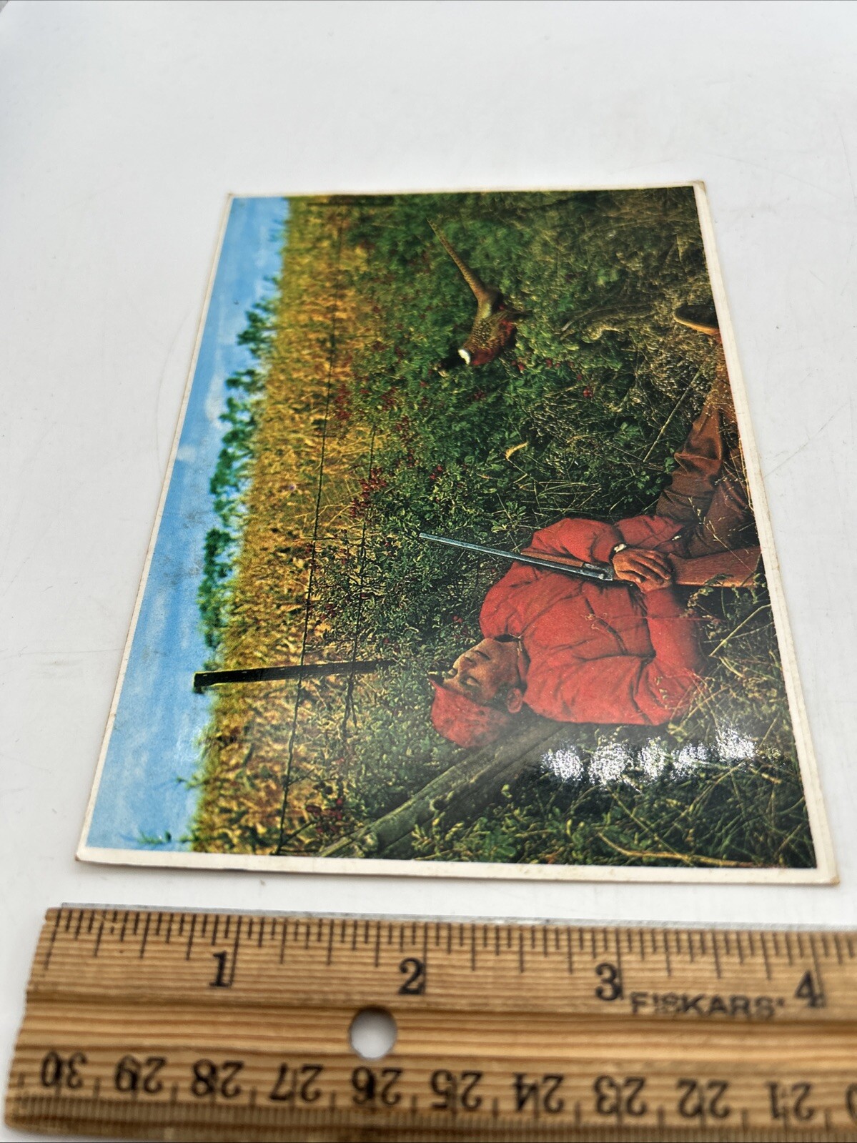 VINTAGE POSTCARD “Dream On Nimrod” 1980 The Goin Company Posted 12cent S. Dakota