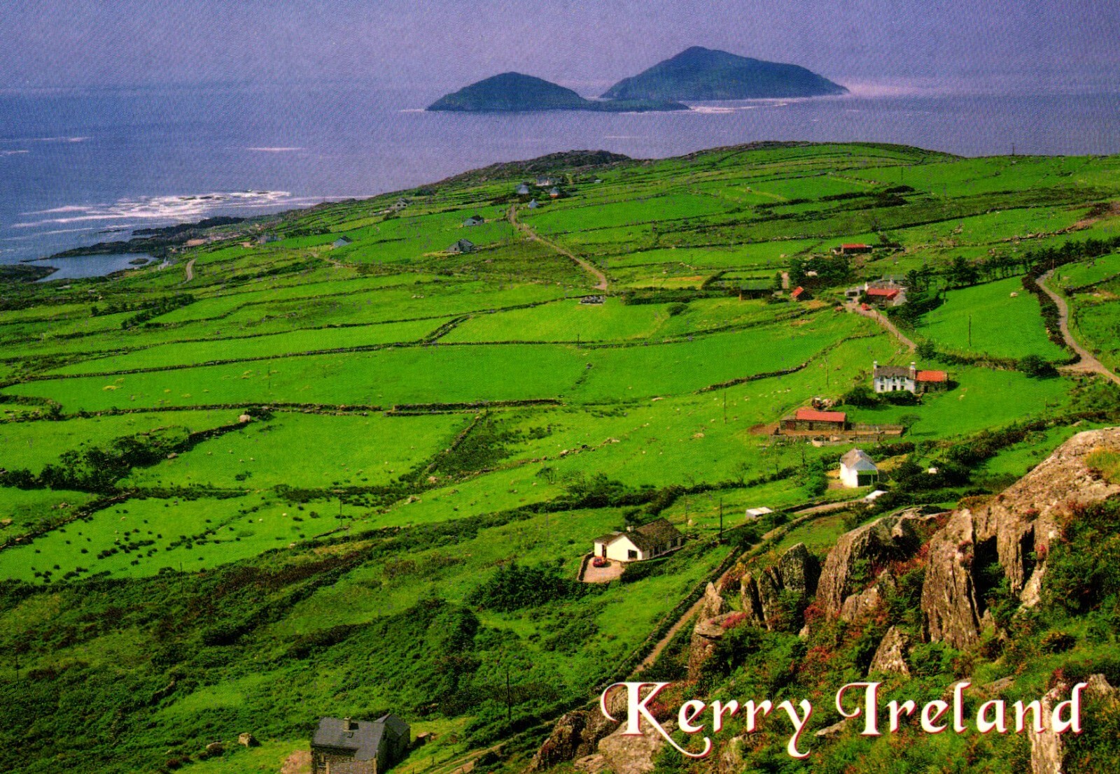 Kerry Ireland Postcard