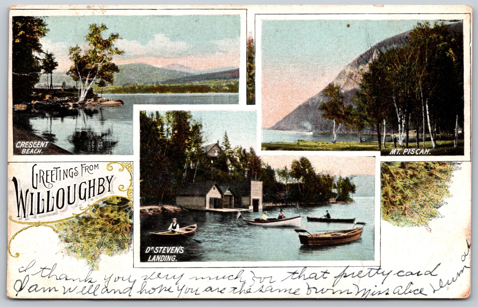 1909 Greetings from Willoughby Vermont ANTIQUE Postcard 8018