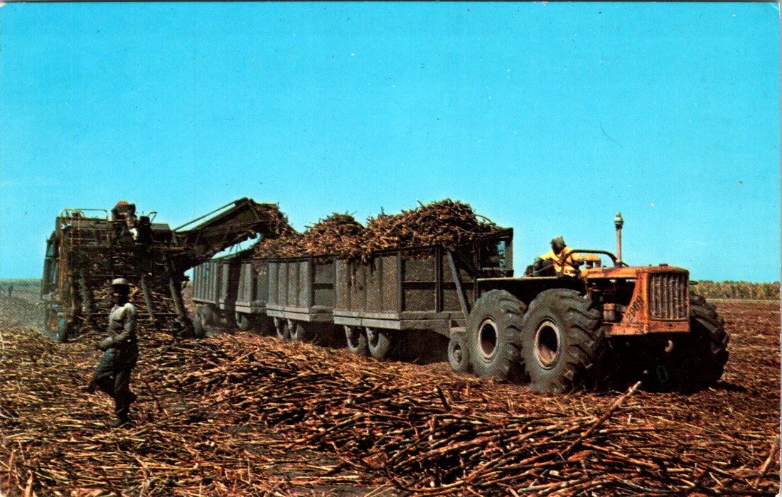 FARMING, Sugar Cane Loader, United States Sugar Co., CLEWISTON, Florida Postcard