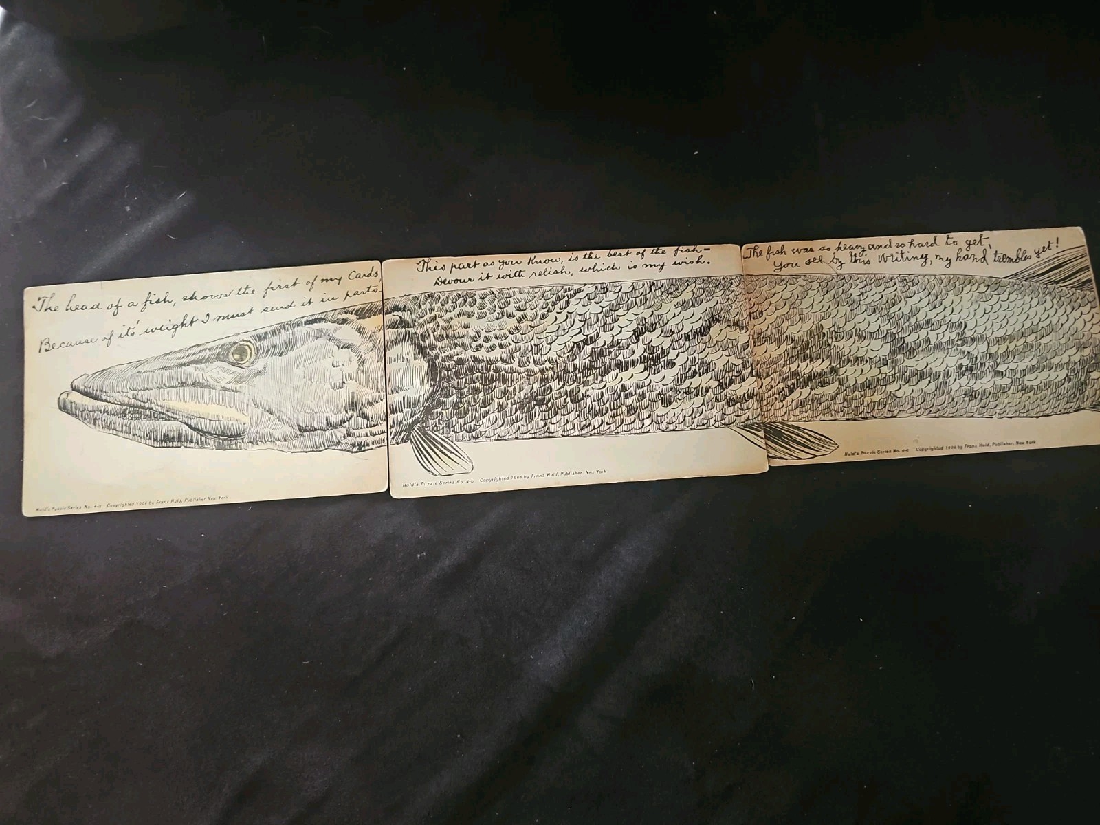 1908 Franz Huld Fish Head Puzzle Postcard with 1908 Postmark(missing 1 Piece)