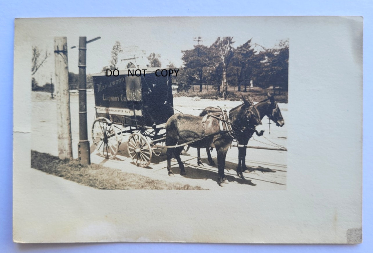 1900S REAL PHOTO POSTCARD…ADVERTISING WAGON MAPLEWOOD LOUNDRY CO. MISSOURI