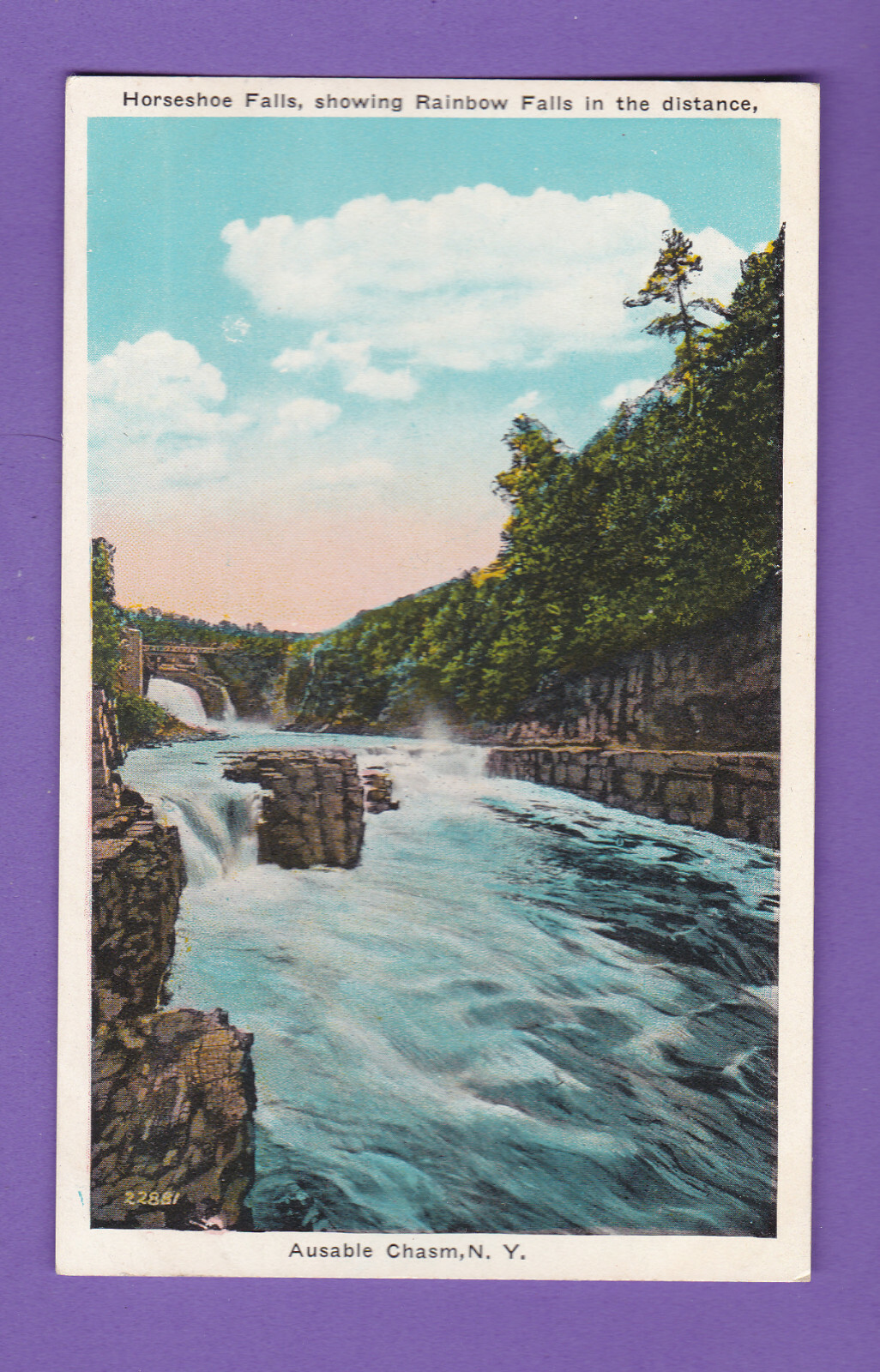 NEW YORK HORSESHOE FALLS AUSABLE CHASM VINTAGE POSTCARD 1118