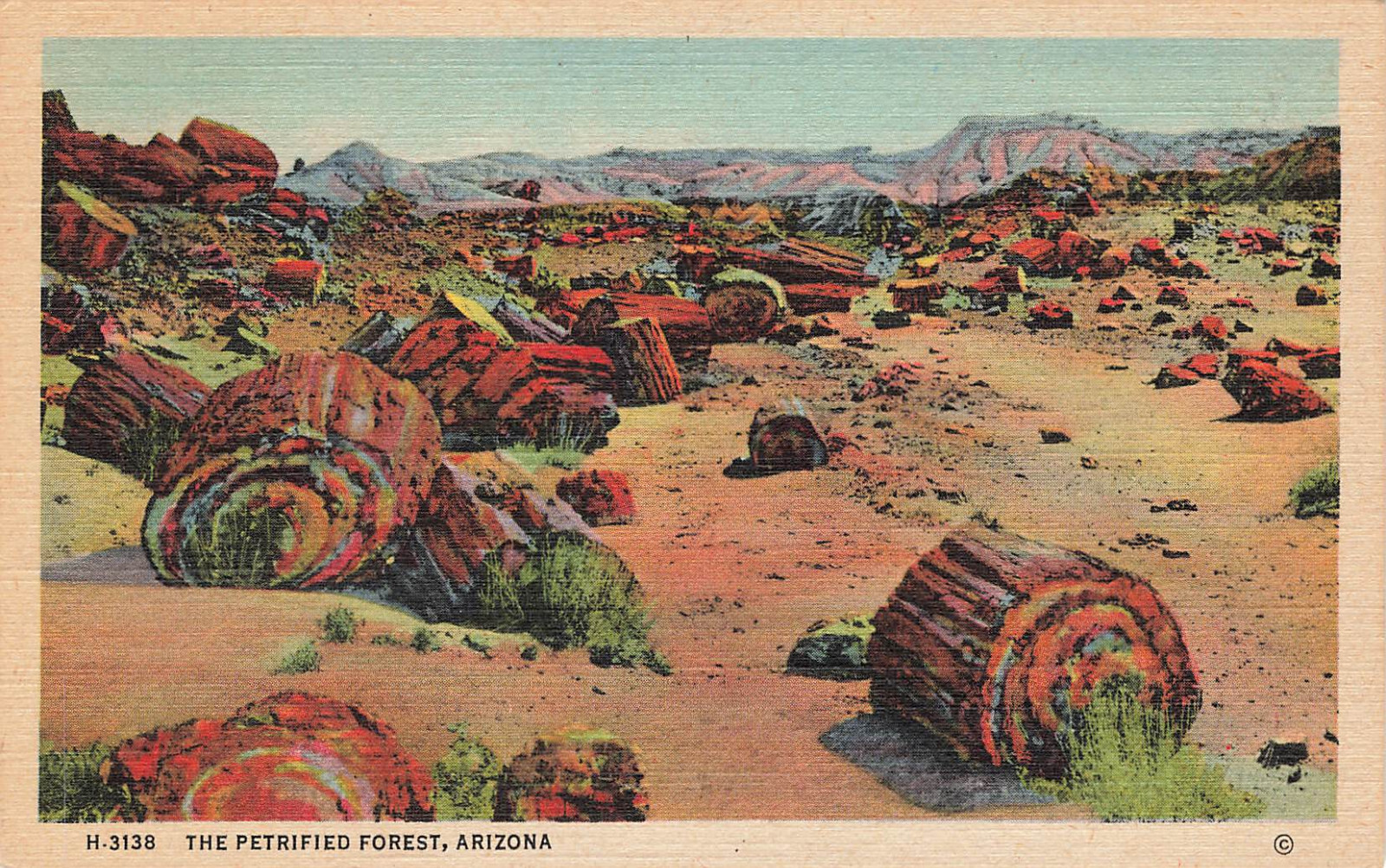 FALLEN LOG CROSS SECTION TREE IN DESERT POSTCARD PETRIFIED FOREST ARIZONA 1930s