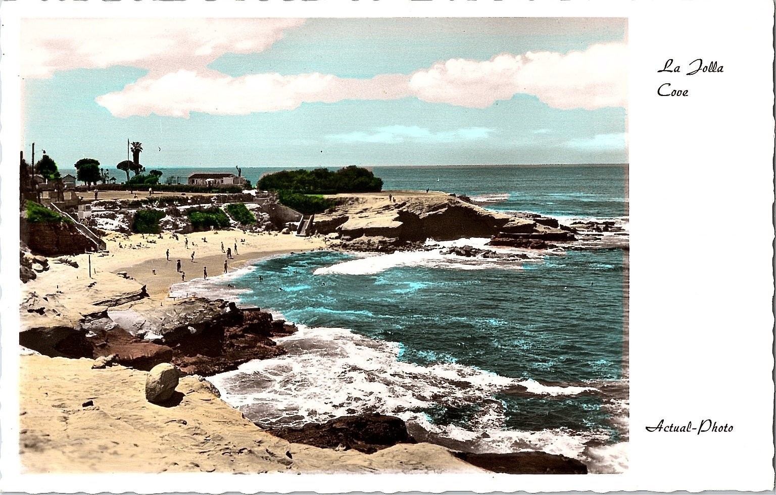 RPPC La Jolla Cove California Sea View Color Photo Postcard