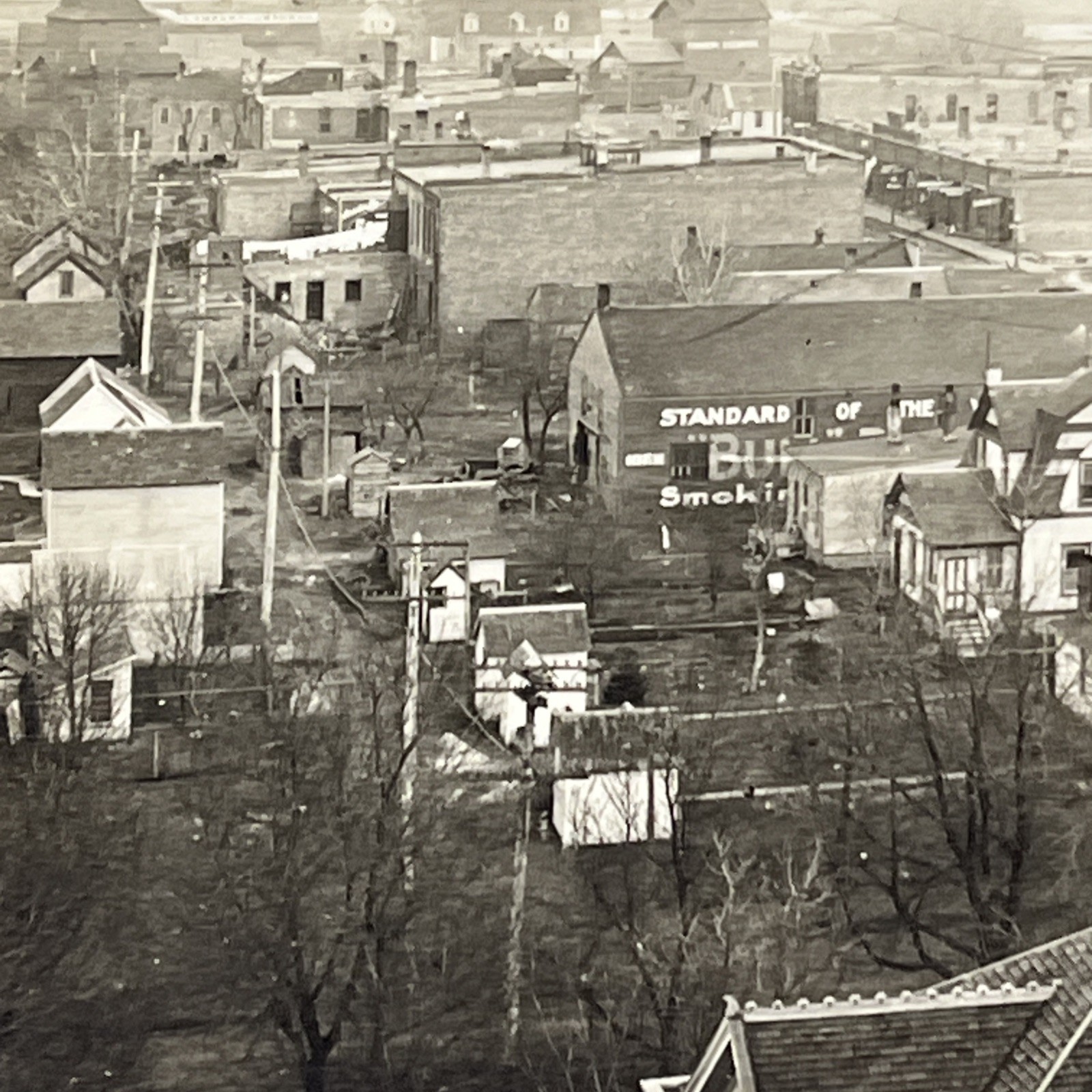 View from Water Tower, Dows Iowa RPPC Postcard