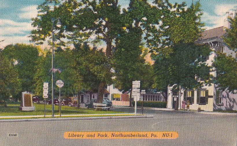 Postcard Library + Park Northumberland PA