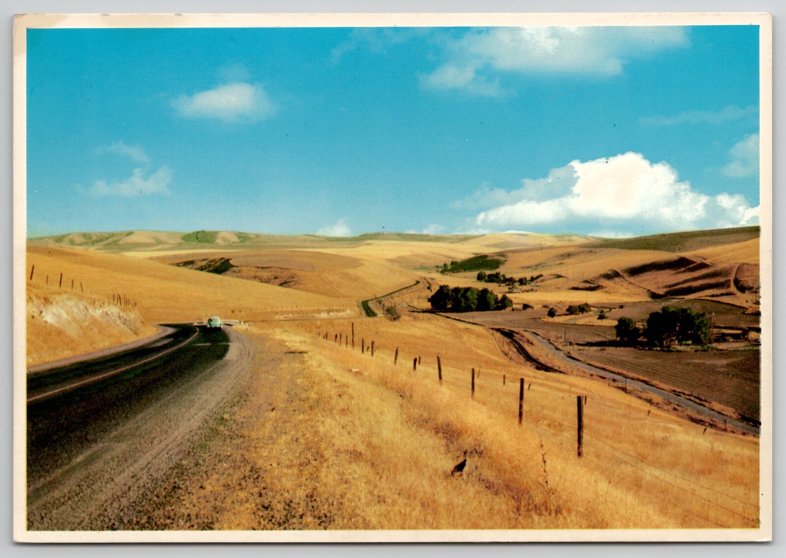 Washington & Oregon – The Blue Mountains between – Unposted POSTCARD