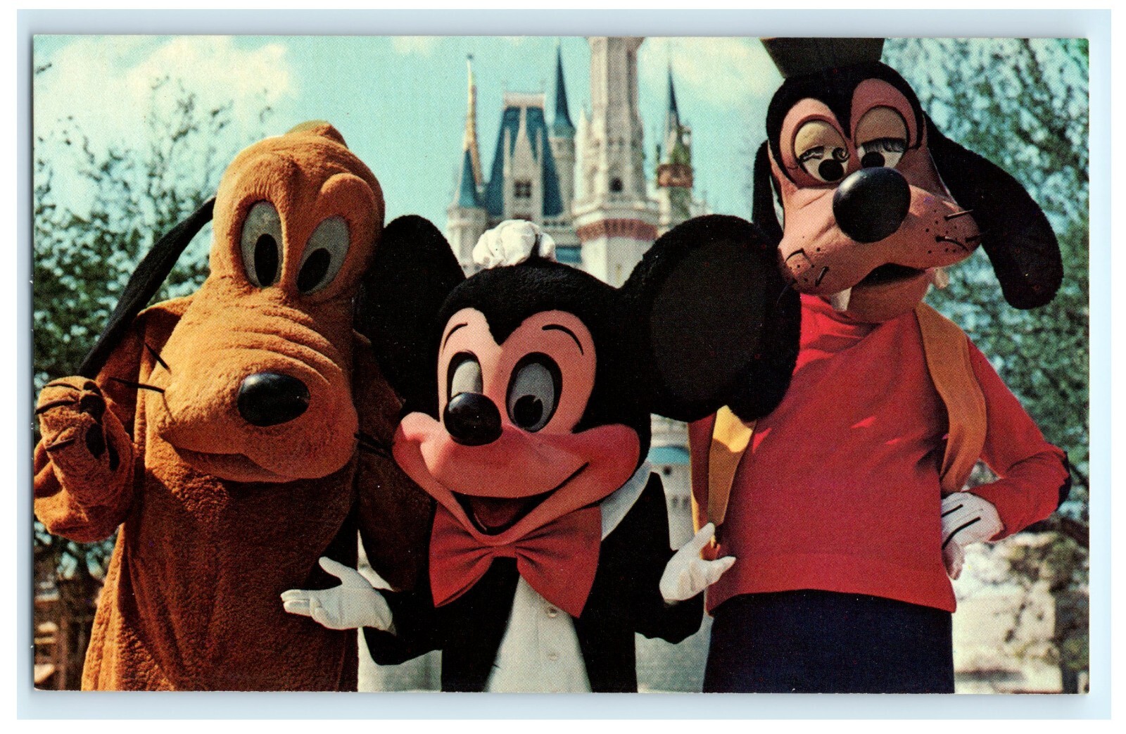 Welcome To The Magic Kingdom Walt Disney World FL Florida Postcard (DY19)