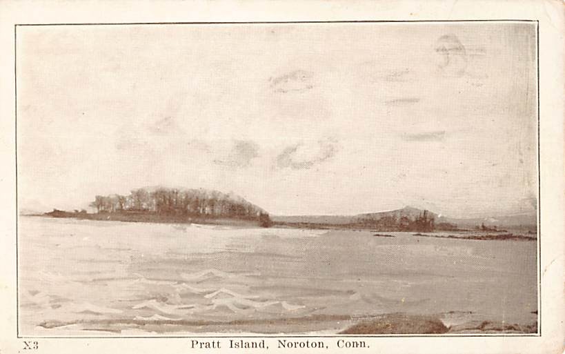 NOROTON, DARIEN, CT ~ PRATT ISLAND, Pub. SIMON #X3 ~ 1910s