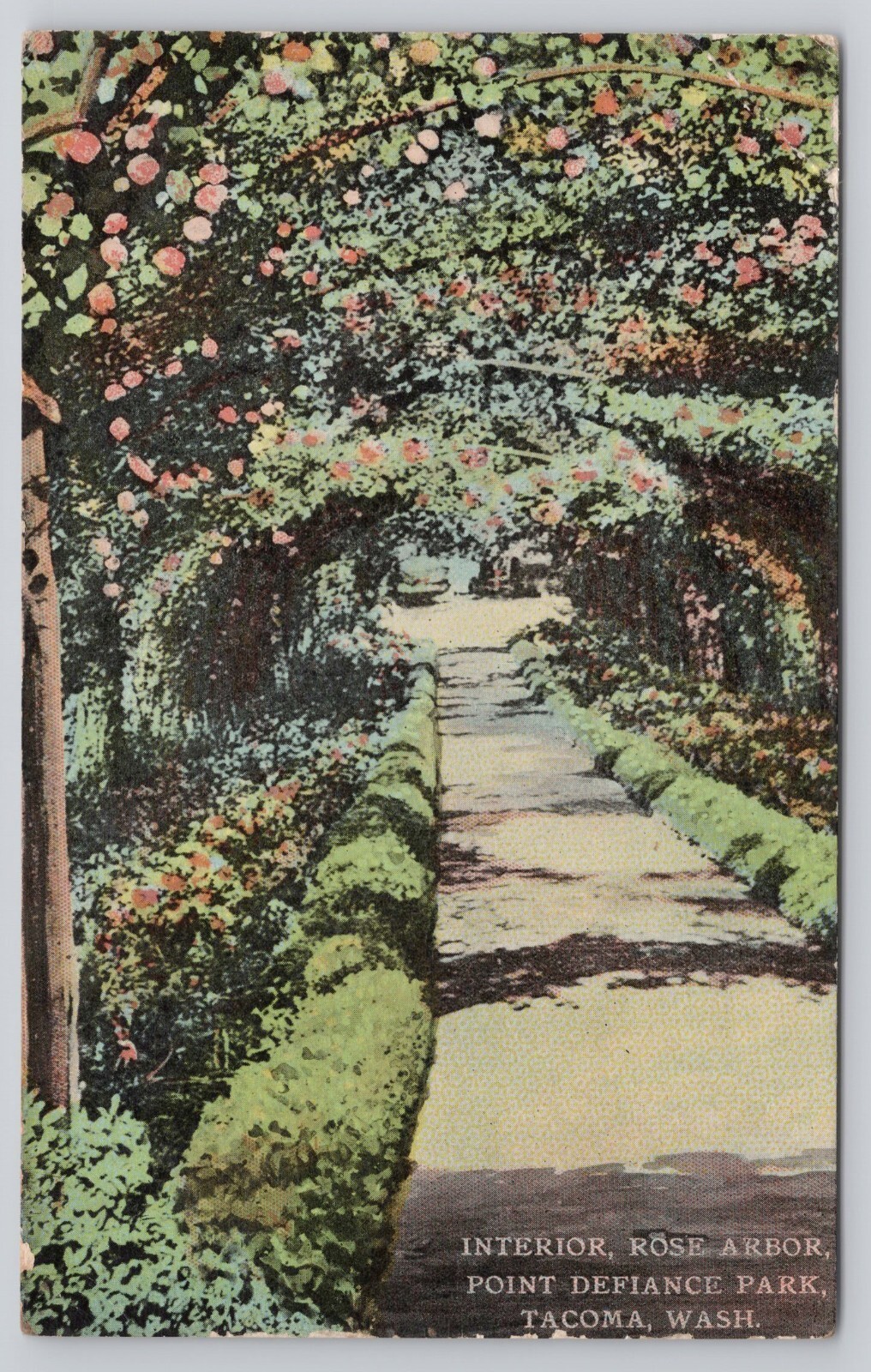Interior Rose Arbor Point Defiance Park Tacoma Washington WA 1913 Postcard