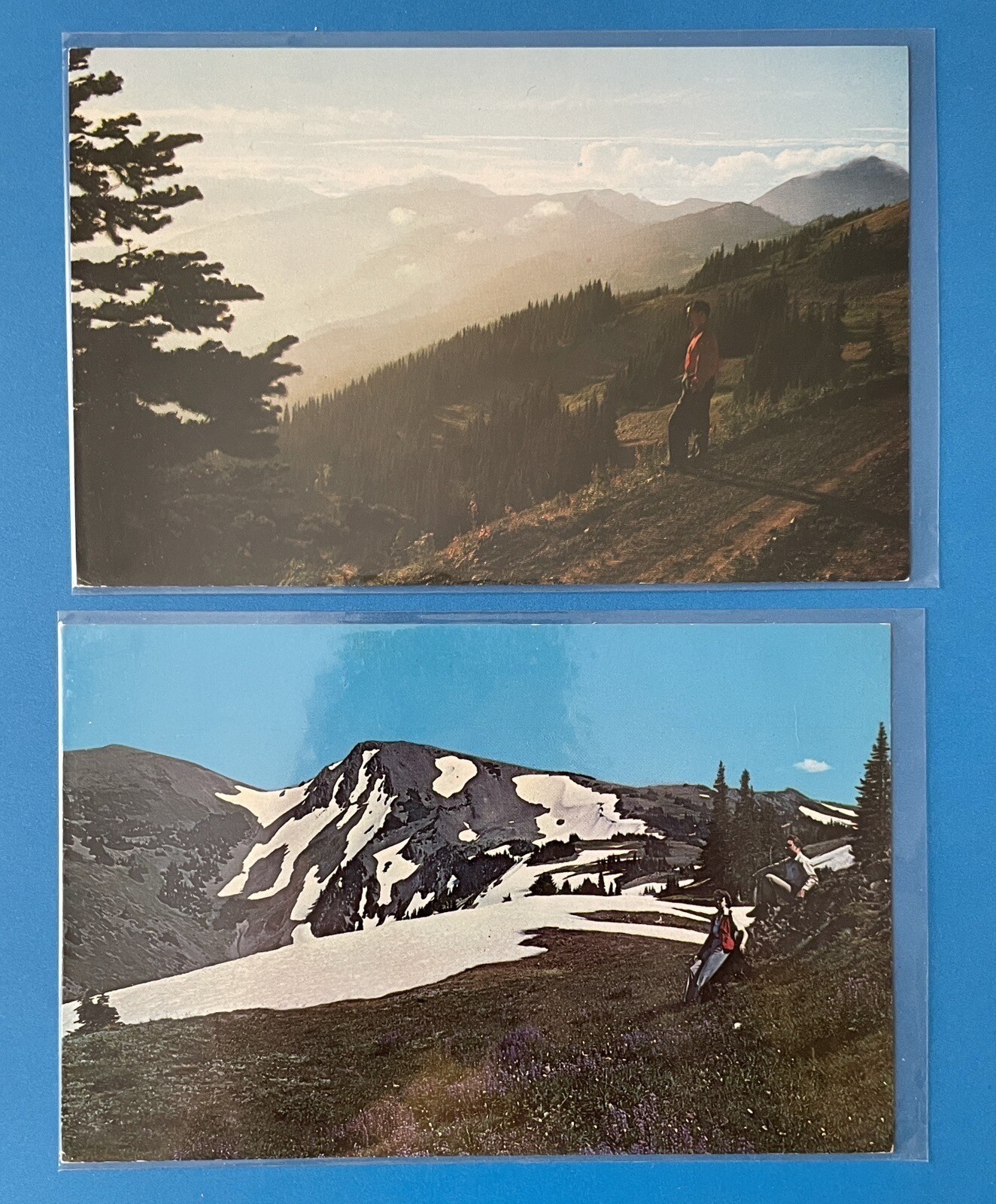 Olympic National Park Postcard Lot Lillian River Canyon Obstruction Point WA