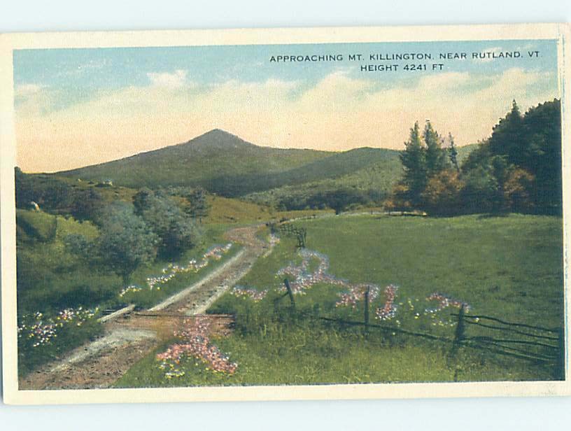 Pre-Chrome SKIING RESORT AREA IN SUMMER Rutland Vermont VT j/27 AG5390@