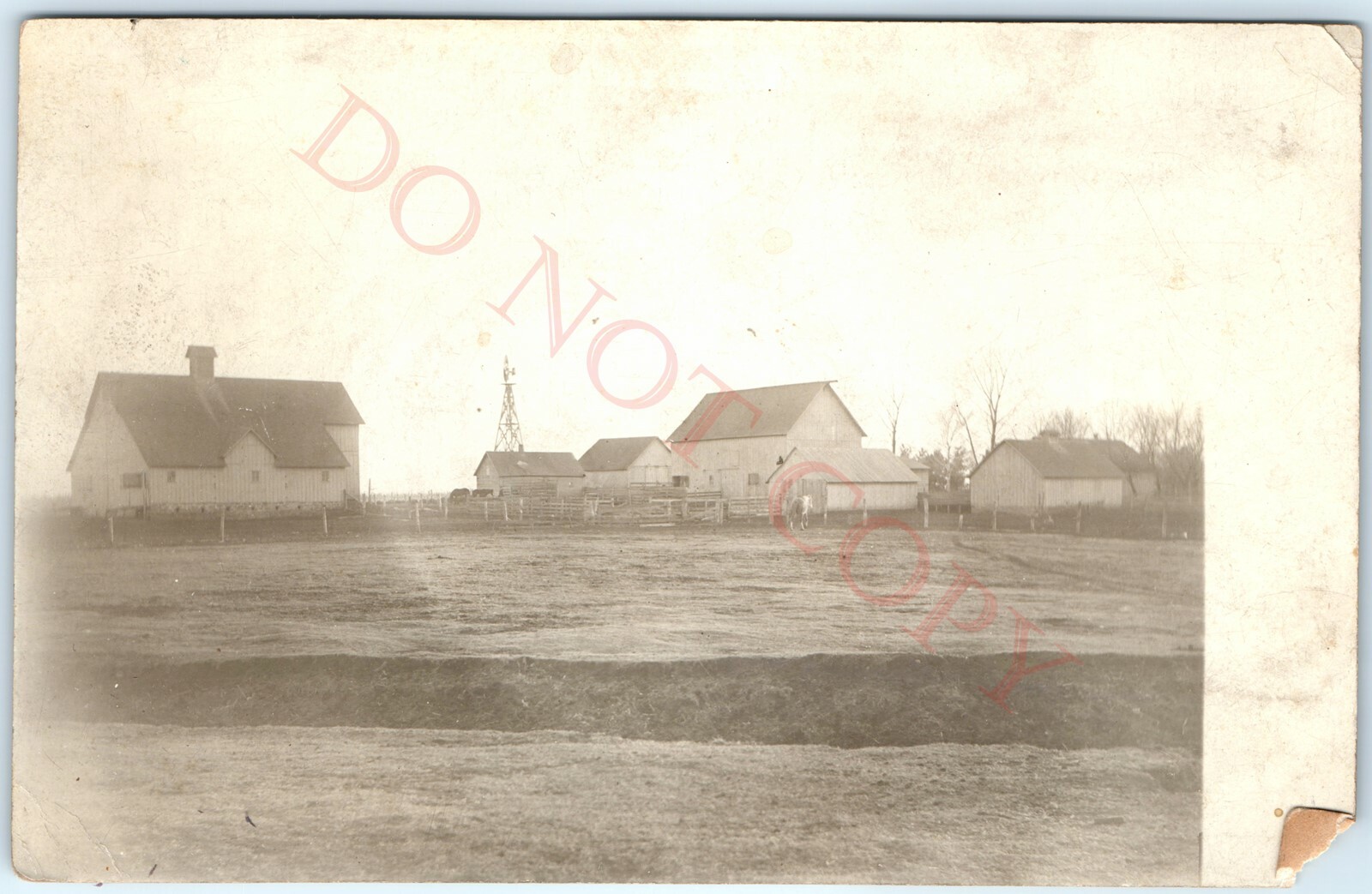 c1910s Homestead Farm Barns Windmill Horse Livestock RPPC Real Photo Postcard