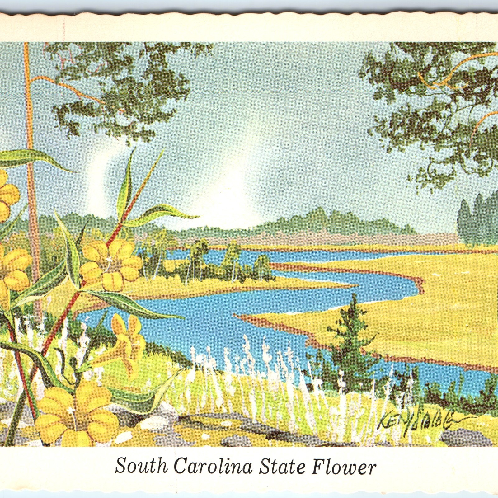 1968 SC South Carolina Flower Yellow Jessamine River Ken Haag Painting Art A335