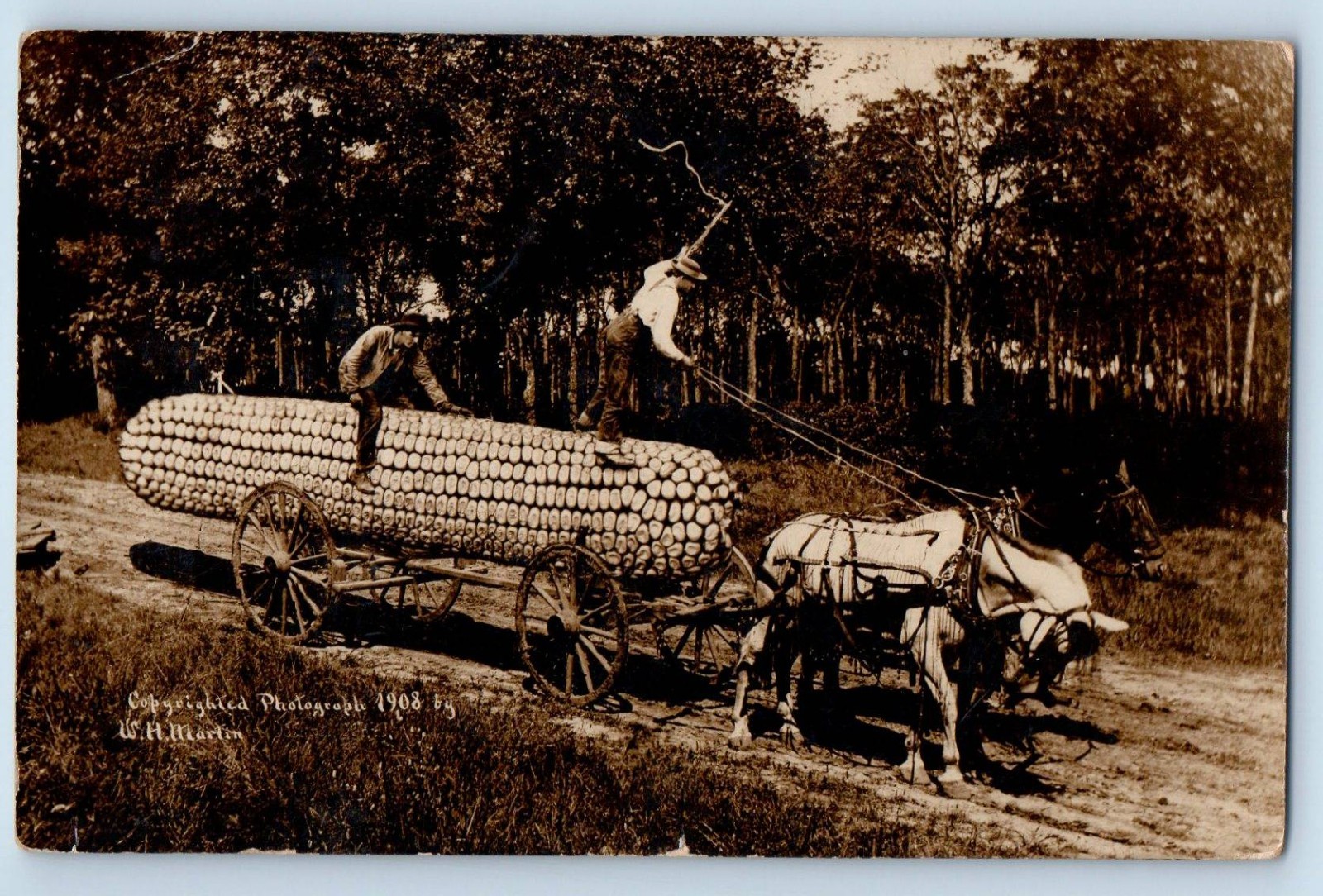 1910 Exaggerated Corn Horse Wagon Madison Wisconsin WI RPPC Photo Postcard