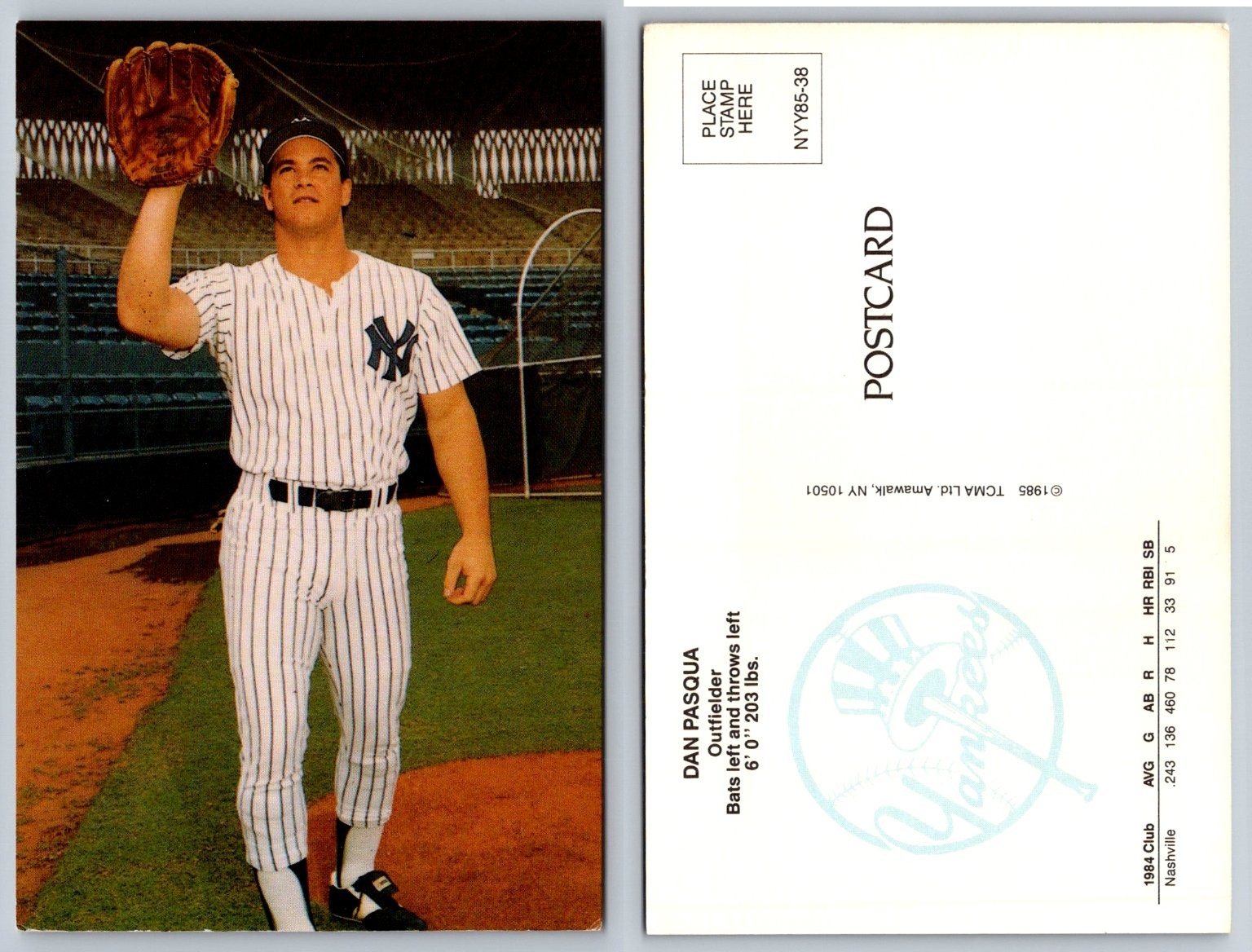 Dan Pasqua New York Yankees Outfielder Baseball Postcard 1985 TCMA
