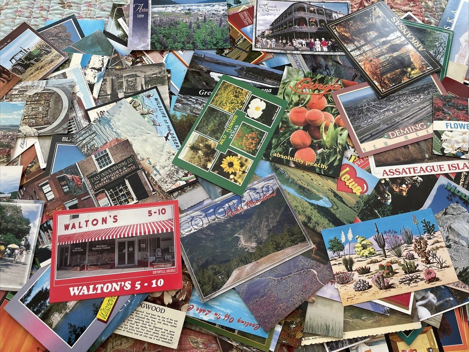 State Post Cards Mixed Lot of 390 Unused Vintage Straight & Scalloped Edge