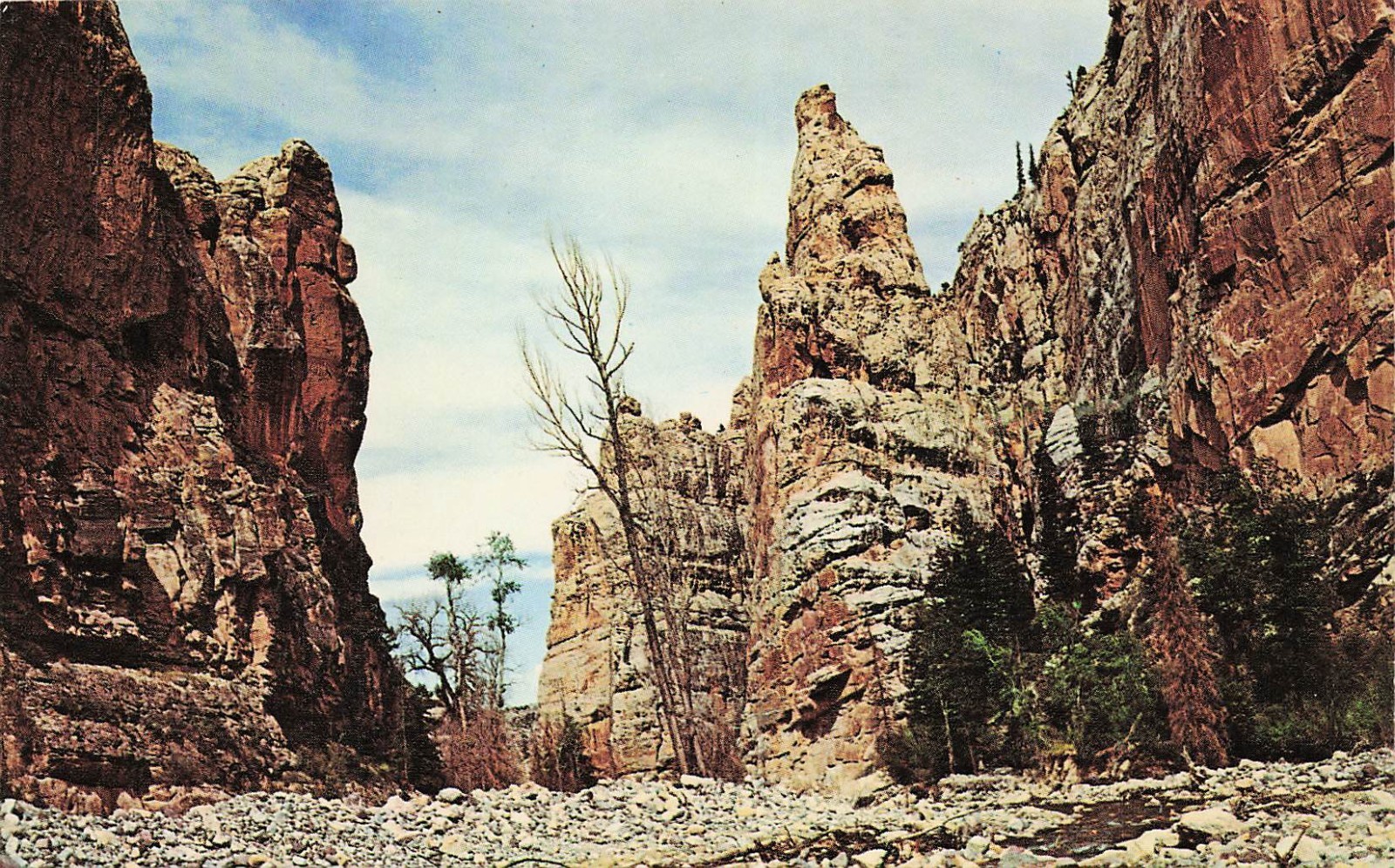 Tower Rock, Ashley National Forest in Utah and Wyoming Vtg Postcard I53