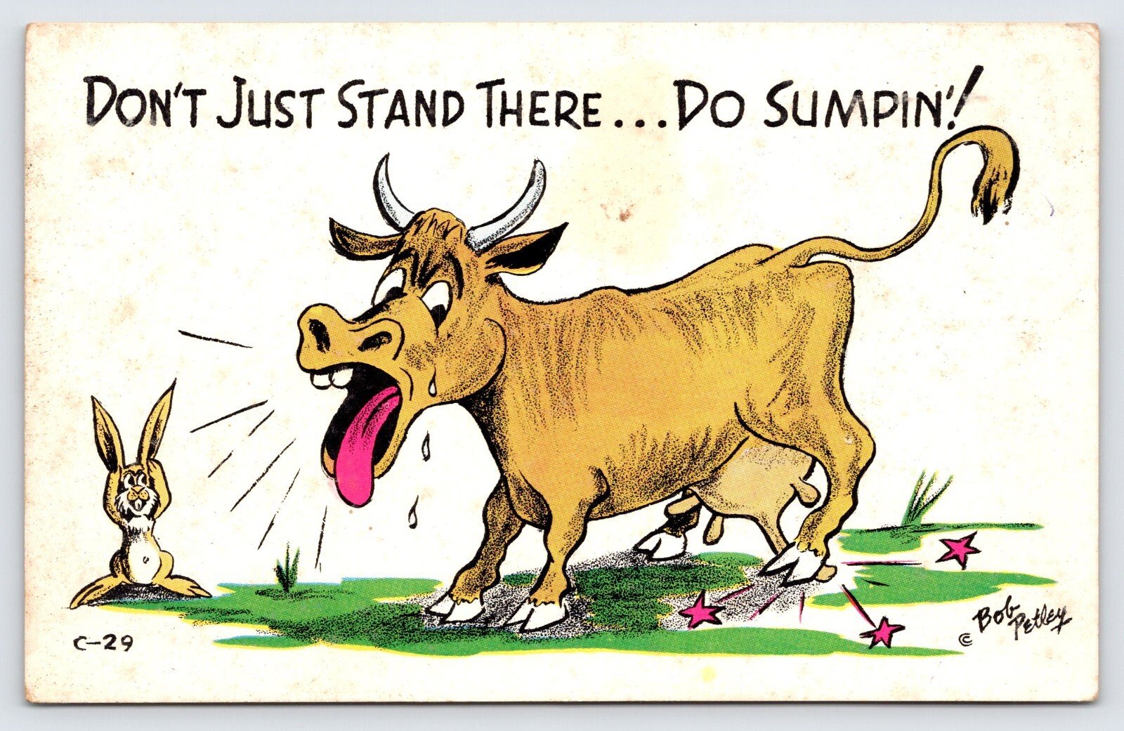 Don’t Just Stand There Do Sumpin, Comic Humor Bob Petley Cow Rabbit Postcard P4