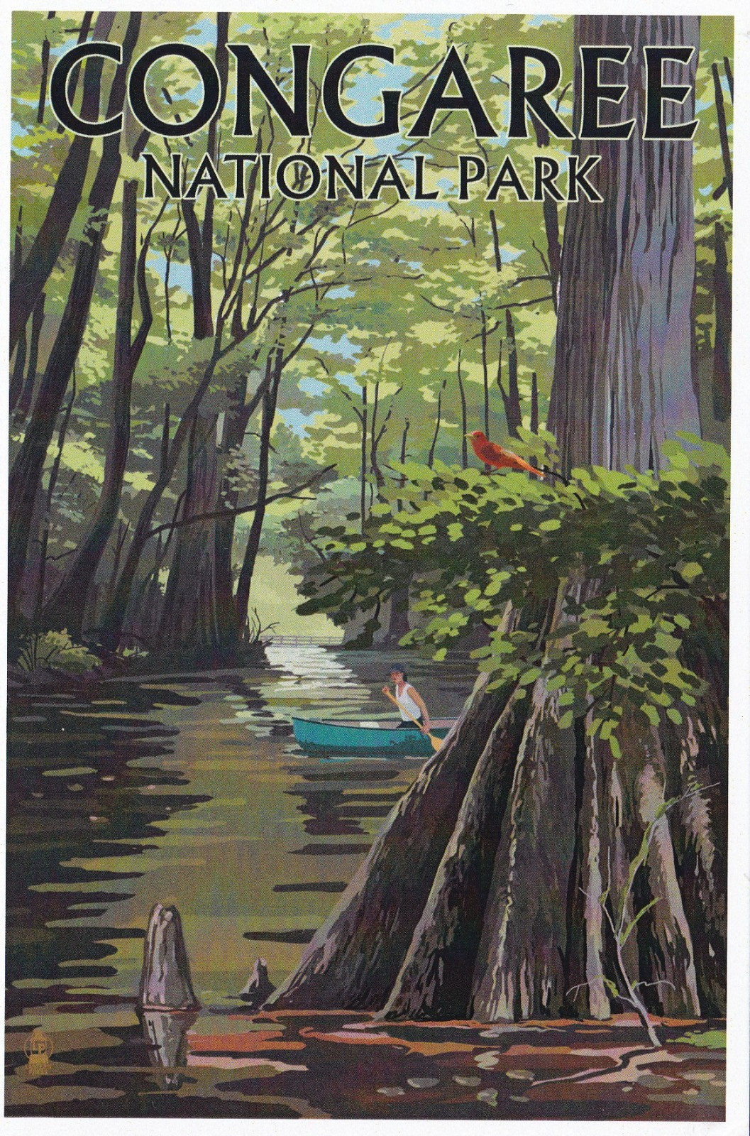 Congaree National Park South Carolina Art Poster Postcard