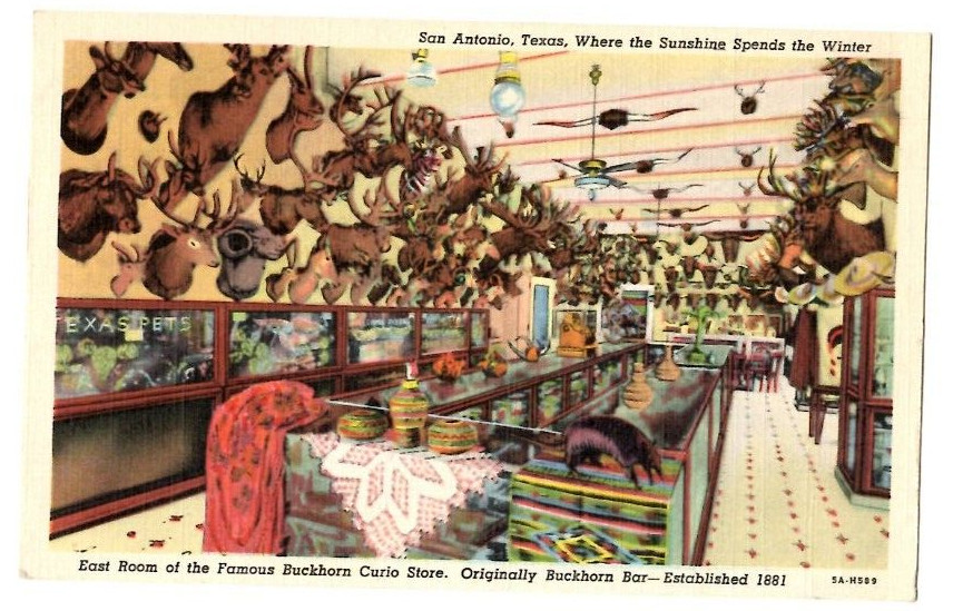 East Room of the Famous Buckhorn Curio Store San Antonio Texas VTG Postcard
