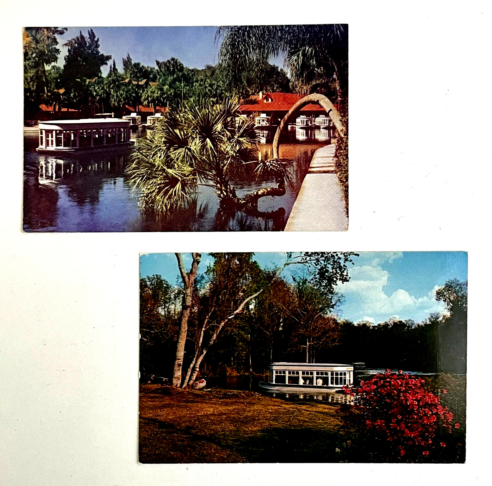 1950s Silver Springs Florida Glass Bottom Boats River Gardens Vintage Postcards